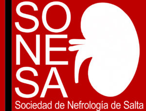 Logo SONESA